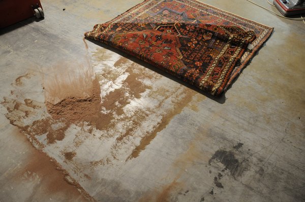 rug-dusting