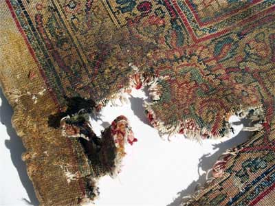 Dry-Rot-Rug-Repair